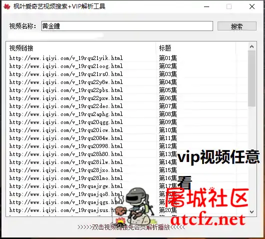 枫叶爱奇艺视频搜索+VIP解析工具 屠城辅助网www.tcfz1.com873