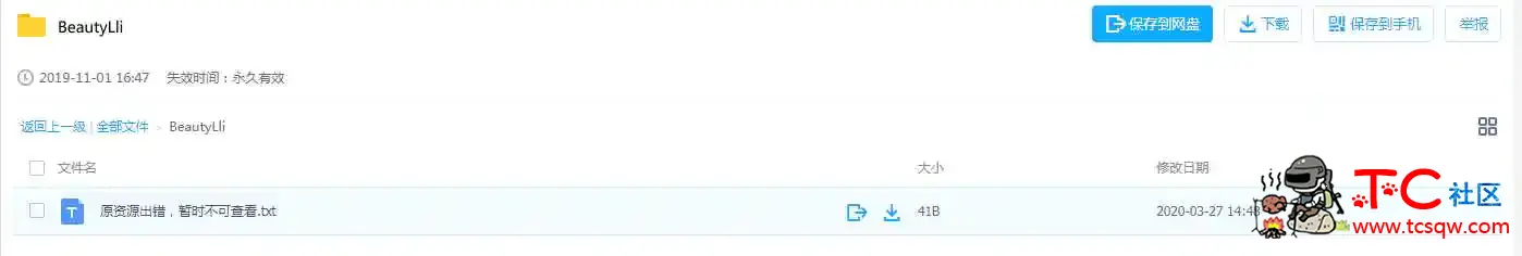 骗钱的 网盘里根本没东西 TC辅助网www.tcsq1.com8728