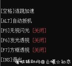 CSGO方框 上色 自动开枪 防闪 连跳加速 加固安全性 方框儿,方框里打√,word方框,excel方框里打√,方框问号复制,屠城辅助网www.tcfz1.com9520