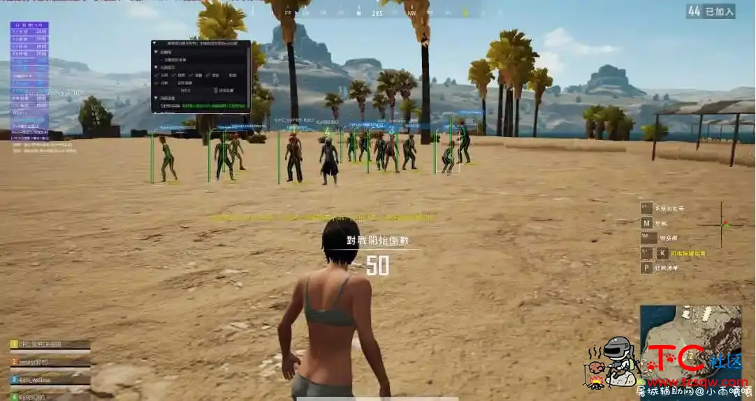 PUBG LITE泰服小学生专用透视自瞄白嫖版 TC辅助网www.tcsq1.com1502