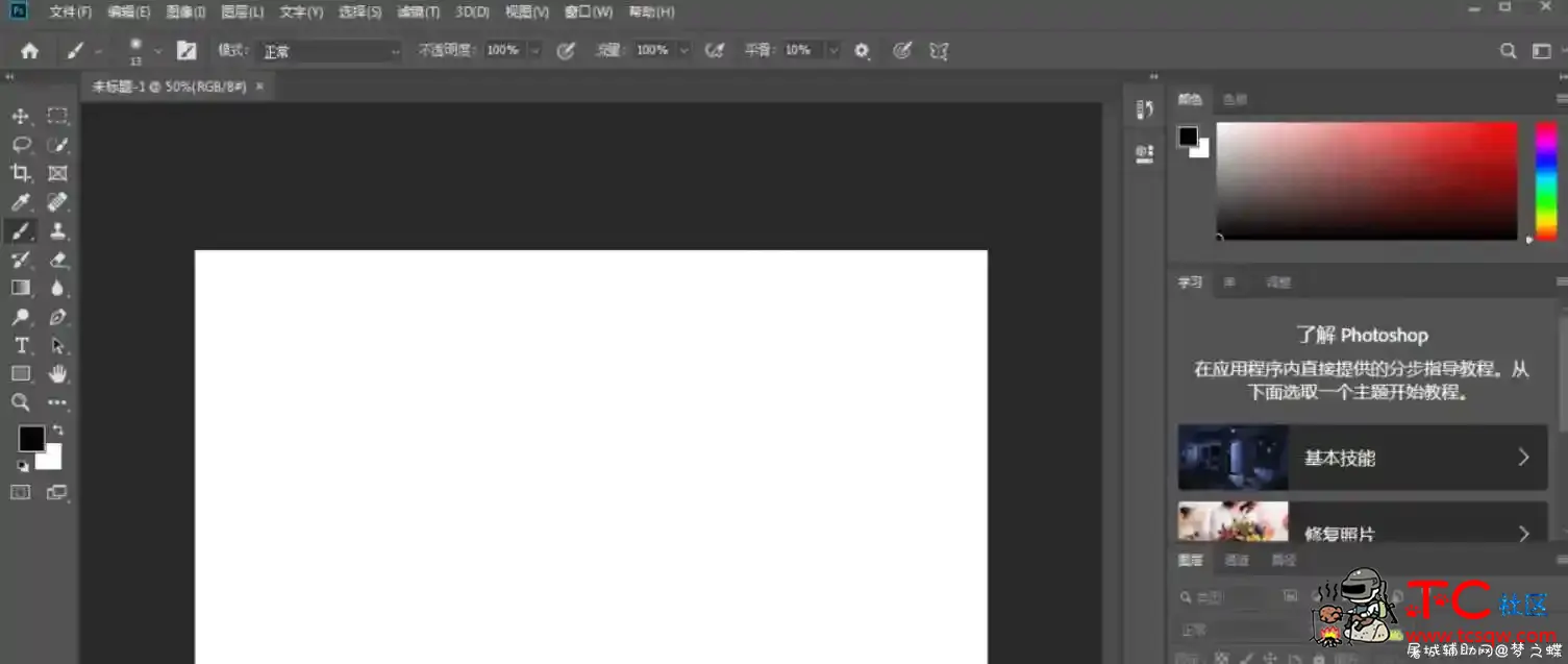 Photoshop2019最终绿色版 TC辅助网www.tcsq1.com8713