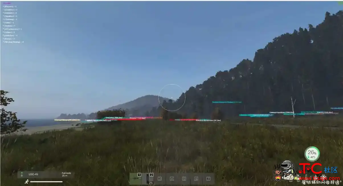 Dayz最新透视人物加速辅助 TC辅助网www.tcsq1.com249