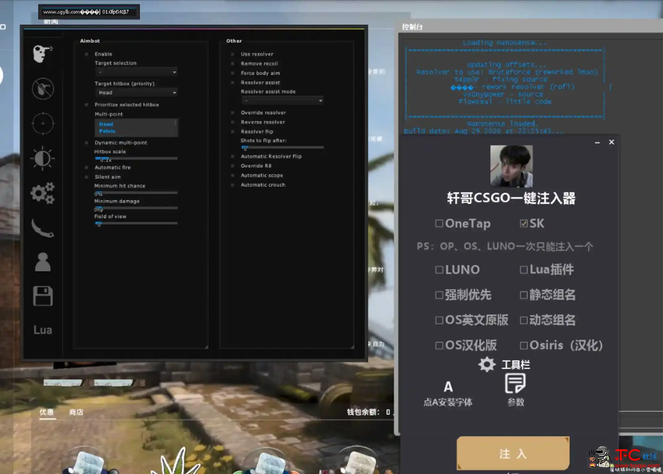 轩哥独家CSGO一键注入器3.0 增加SK 全网首发 TC辅助网www.tcsq1.com8146