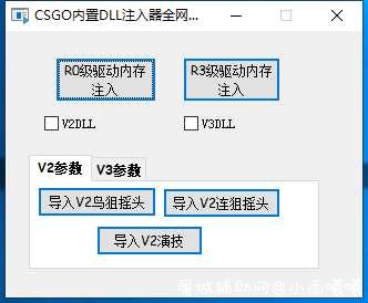 CSGO小胖驱动注入器R0级别自带V3 DLL 顶级摇头参 TC辅助网www.tcsq1.com4131