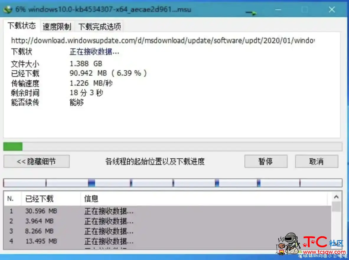 下载利器IDM 6.38.15绿色版 TC辅助网www.tcsq1.com9973