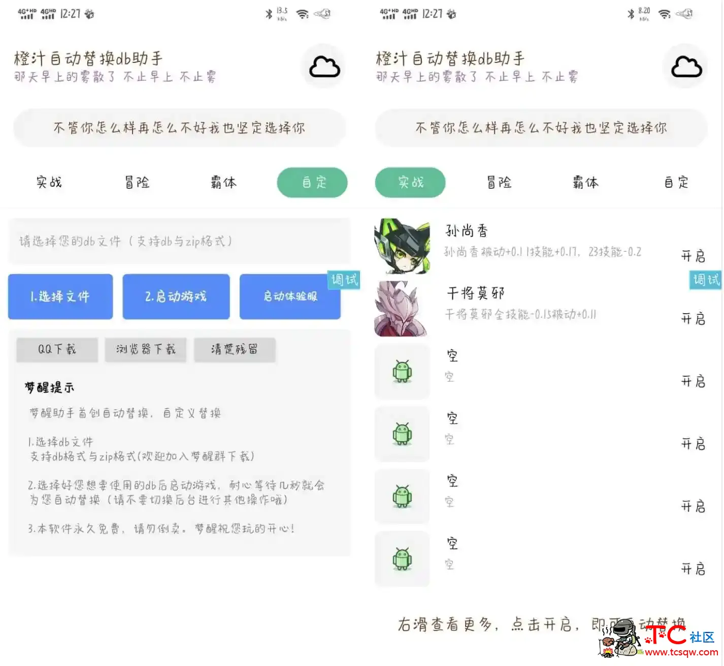 王者荣耀橙汁自动替换db软件 TC辅助网www.tcsq1.com1111