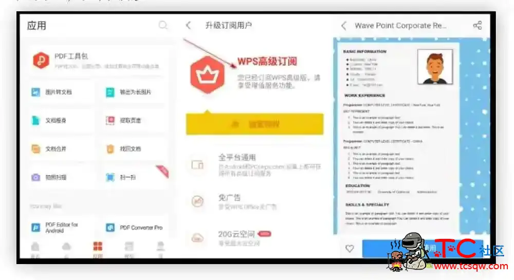WPSv12.8.3[解锁高级版]破解vip TC辅助网www.tcsq1.com4643