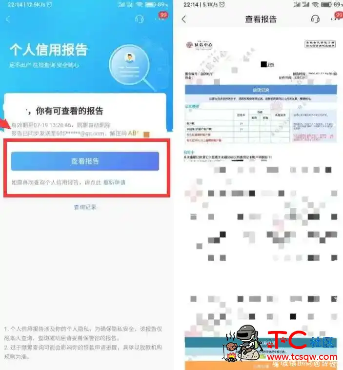 查询自己征信是否污点方法 TC辅助网www.tcsq1.com9745