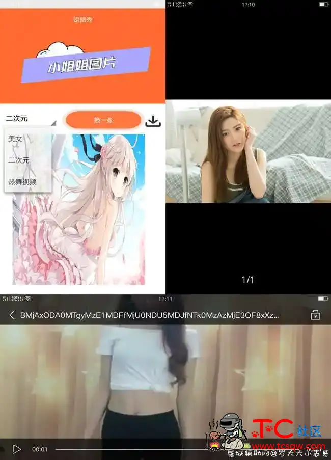 姐图秀V1.0查看小姐姐图片/热舞 TC辅助网www.tcsq1.com7399