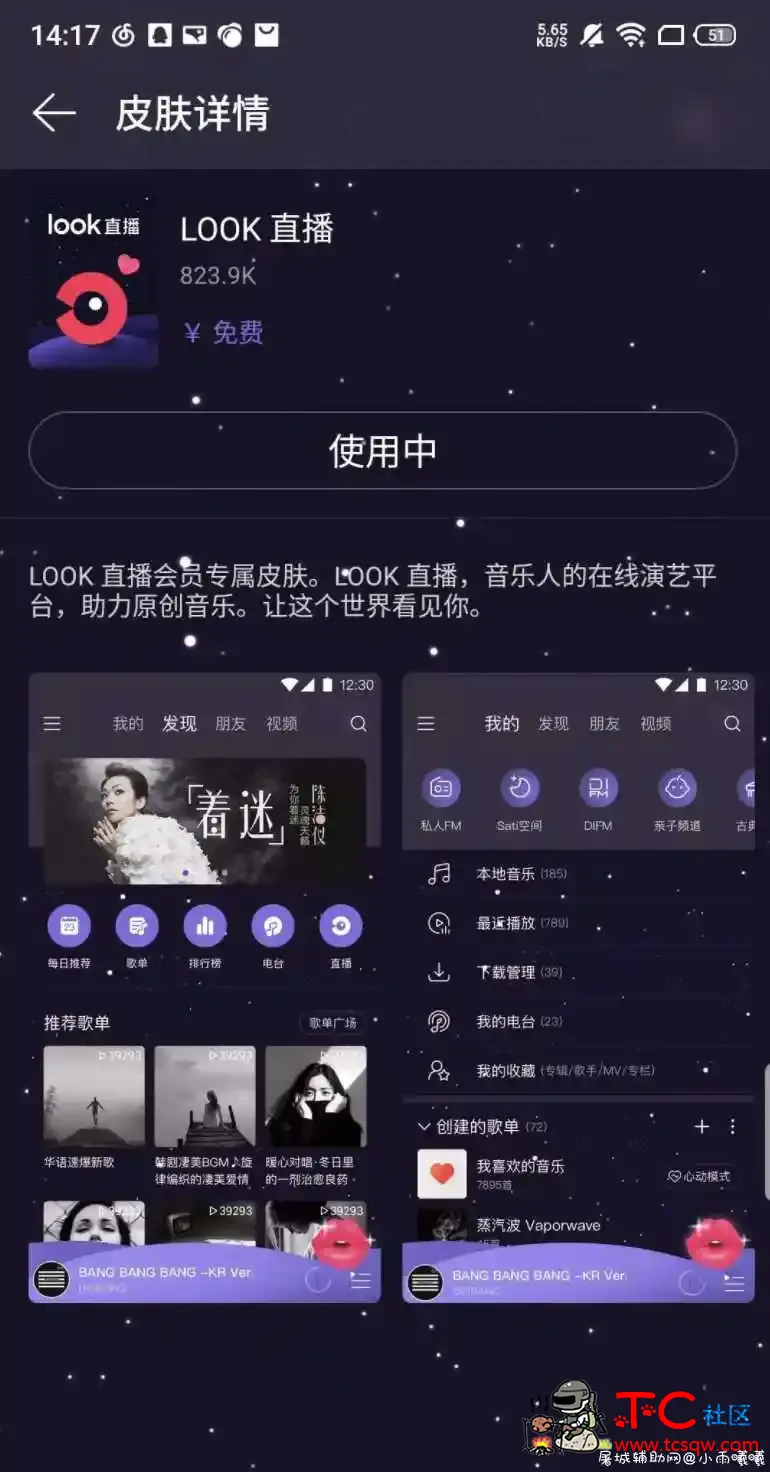 网易云音乐 解锁灰色歌曲 黑胶会员 解锁会员歌曲 皮肤 TC辅助网www.tcsq1.com4896