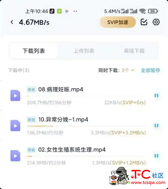 百度网盘svip破解去广告 不限速 解锁会员功能 TC辅助网www.tcsq1.com2695