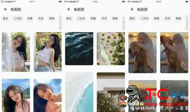 安卓壁纸会员版 百万高清壁纸 TC辅助网www.tcsq1.com1725