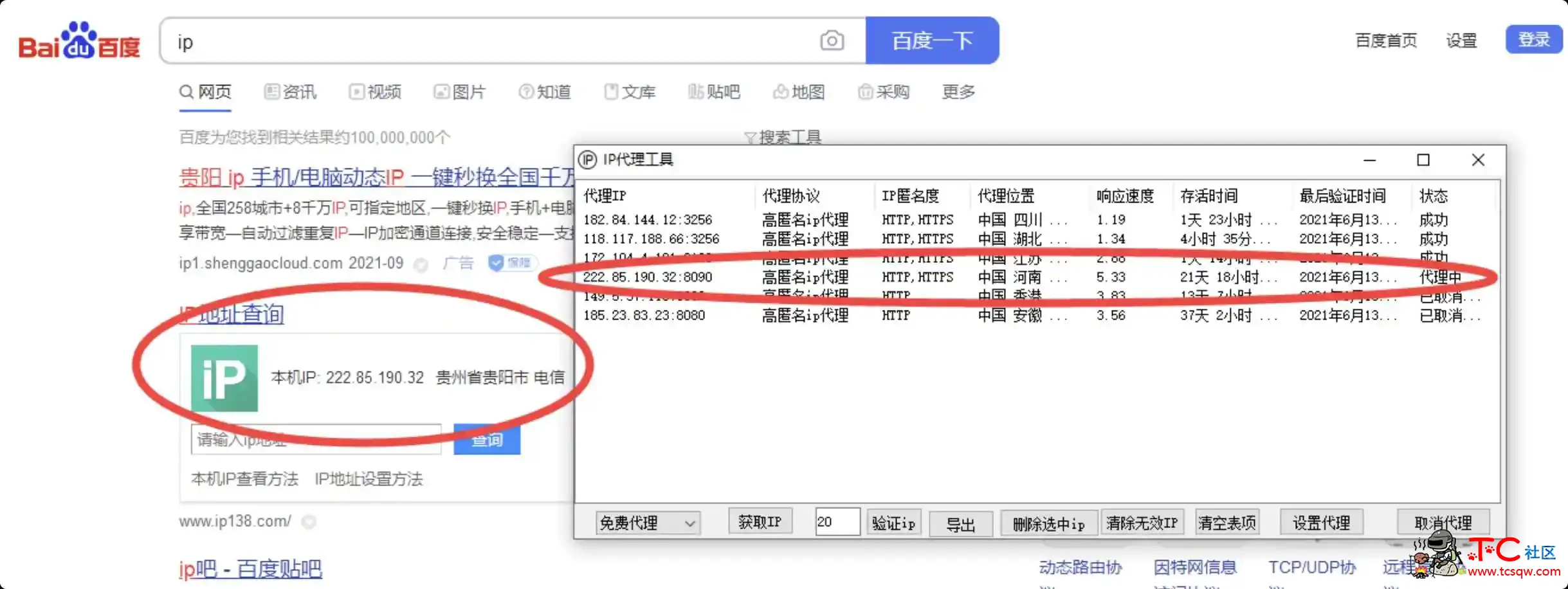 代理IP免费获取工具源码 检测IP有效性 设置代理IP等 TC辅助网www.tcsq1.com2439