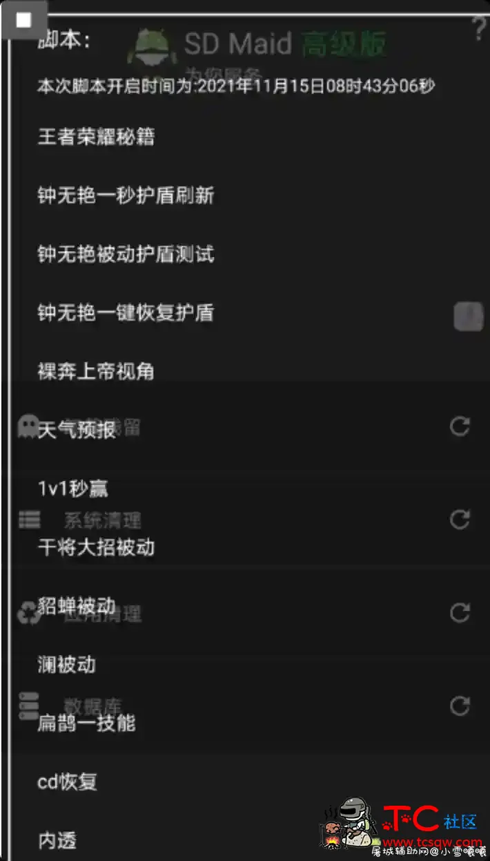 王者荣耀v11.15最新功能脚本 TC辅助网www.tcsq1.com5292