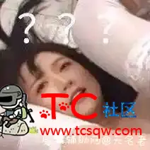 这是什么视频 TC辅助网www.tcsq1.com8873