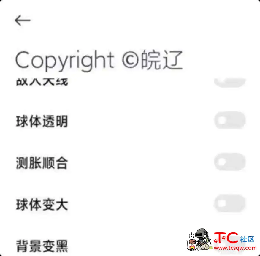 球球大作战皖辽直装最新版 TC辅助网www.tcsq1.com2333