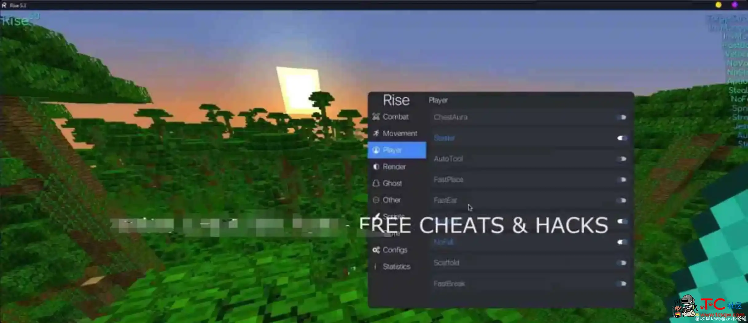 我的世界Rise客户端地雷工艺欺骗 免费破解 TC辅助网www.tcsq1.com2971