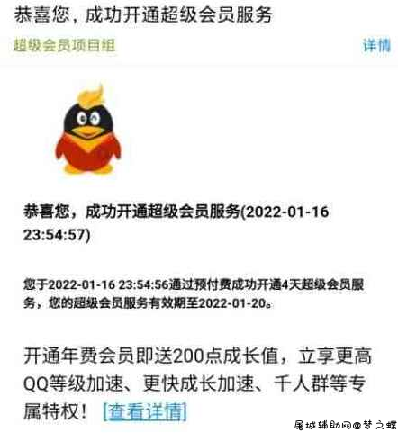 在线领取QQ超级会员4天网站源码以及API分享 屠城辅助网www.tcfz1.com2759