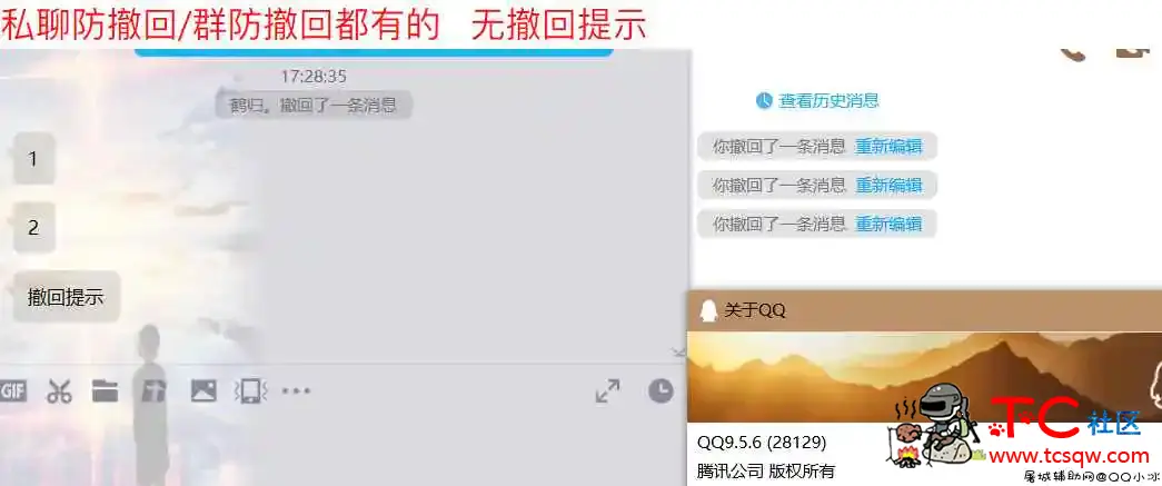 [1.23更新]腾讯QQ9.5.6（28129）防撤回补丁 TC辅助网www.tcsq1.com9795