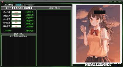 DNF_XF科技2.21破解版 多功能辅助 屠城辅助网www.tcfz1.com4355