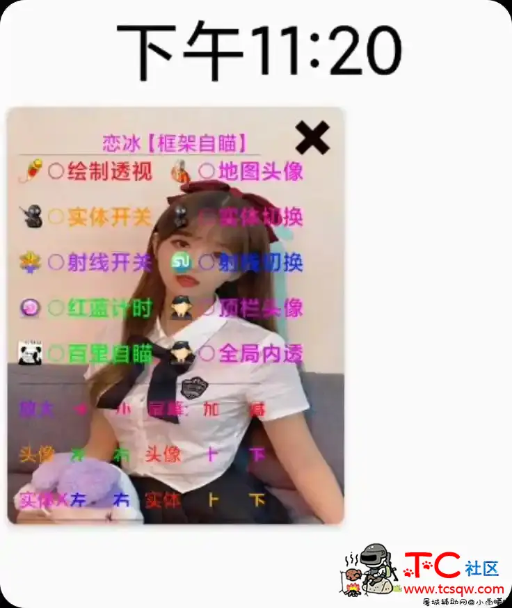 王者荣耀绘制自瞄内透一体32/64双版辅助插件 TC辅助网www.tcsq1.com2504