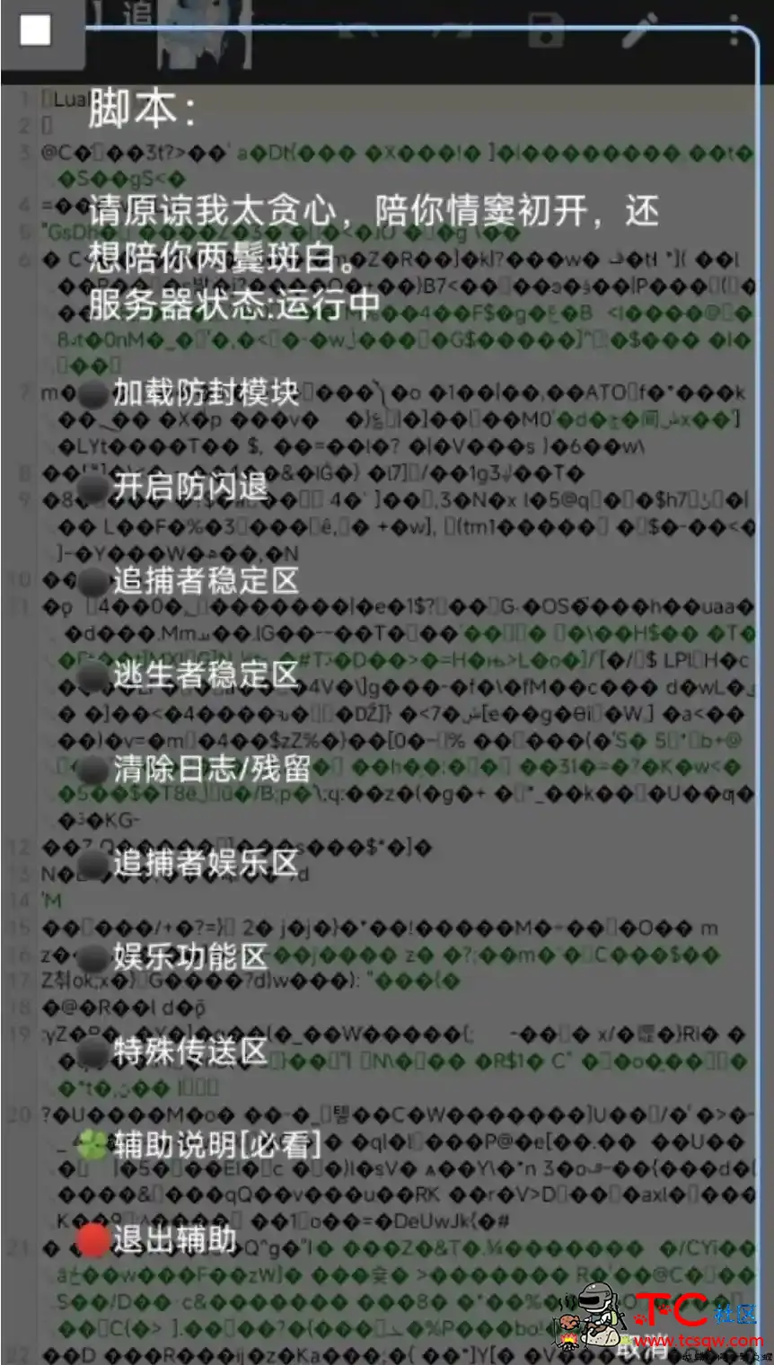 逃跑吧少年星倾开锁加速多功能内置脚本 TC辅助网www.tcsq1.com6215