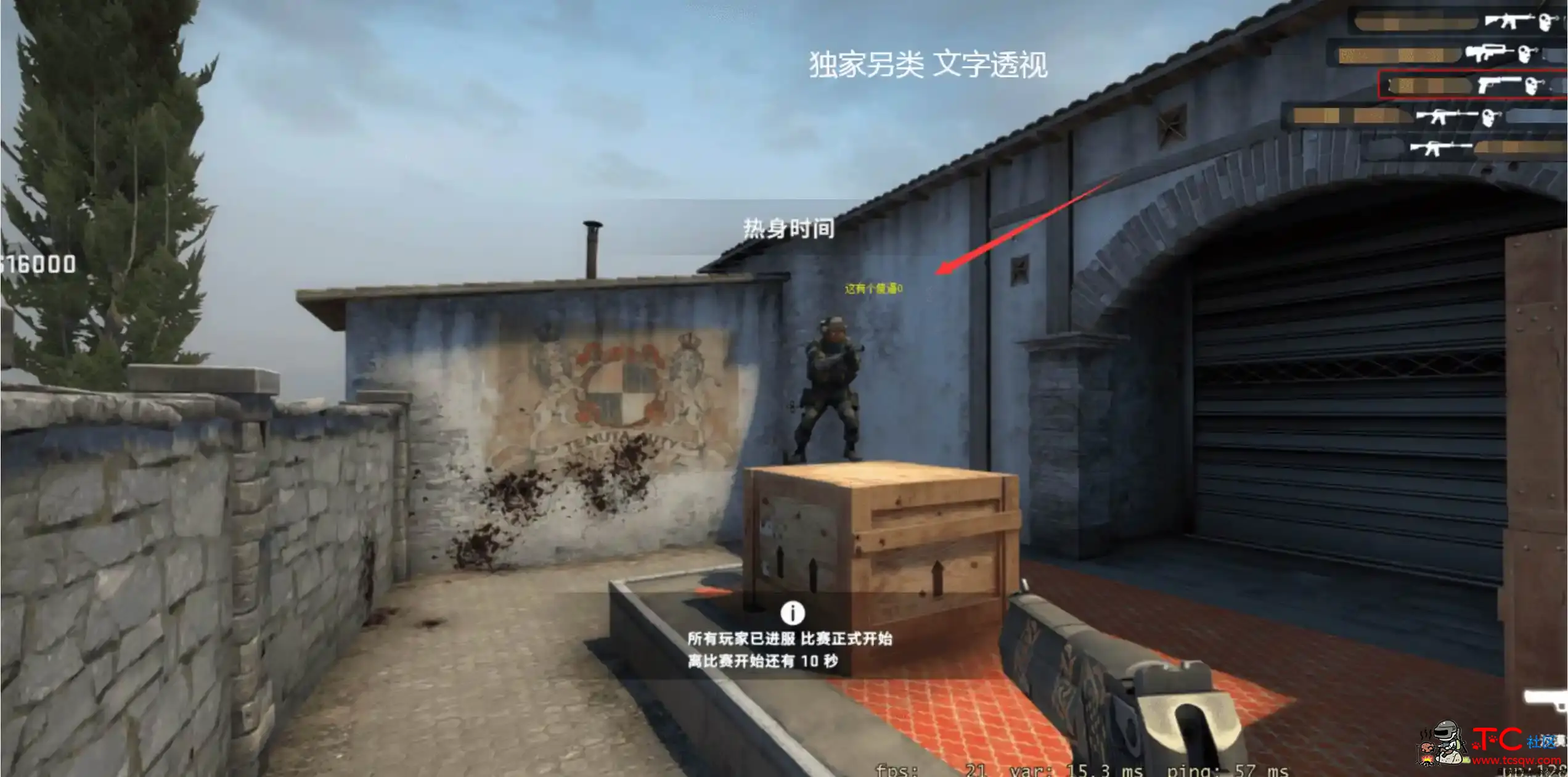 CSGO 女神5E专用独家文字透视自瞄免费辅助 TC辅助网www.tcsq1.com3205