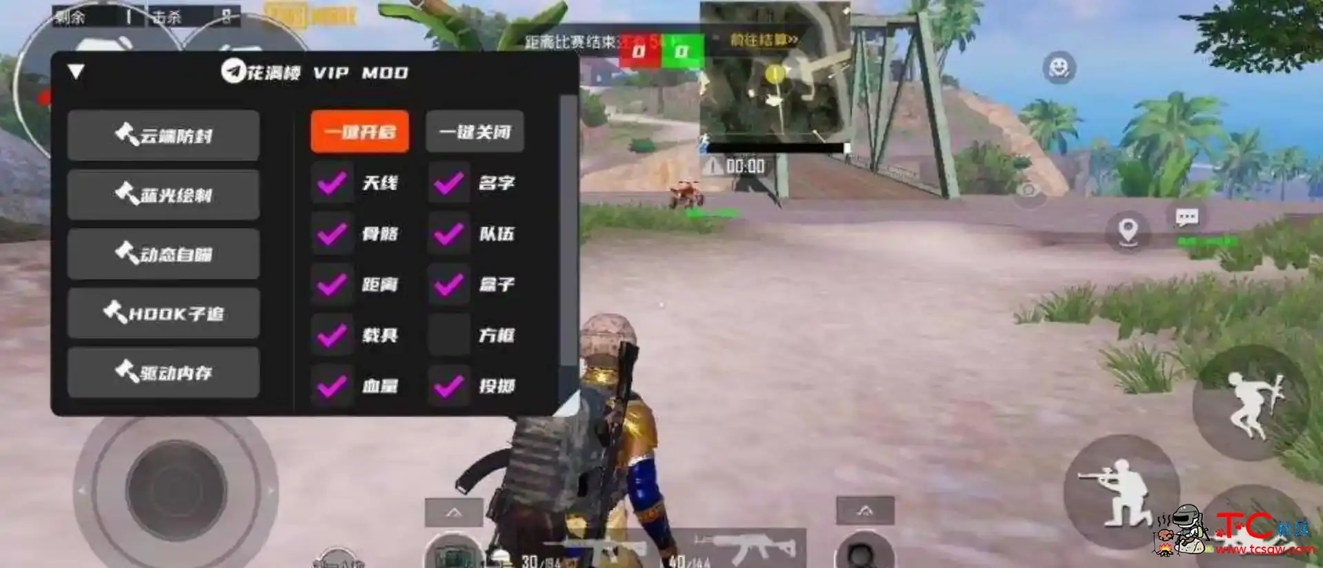 PUBG国际服花满楼绘制自瞄子追公益直装 TC辅助网www.tcsq1.com6787