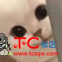 求个有糖心传媒视频的app TC辅助网www.tcsq1.com4589