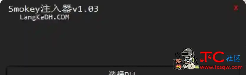 Smokey注入器CSGO无VAC检测注入器 TC辅助网www.tcsq1.com3441