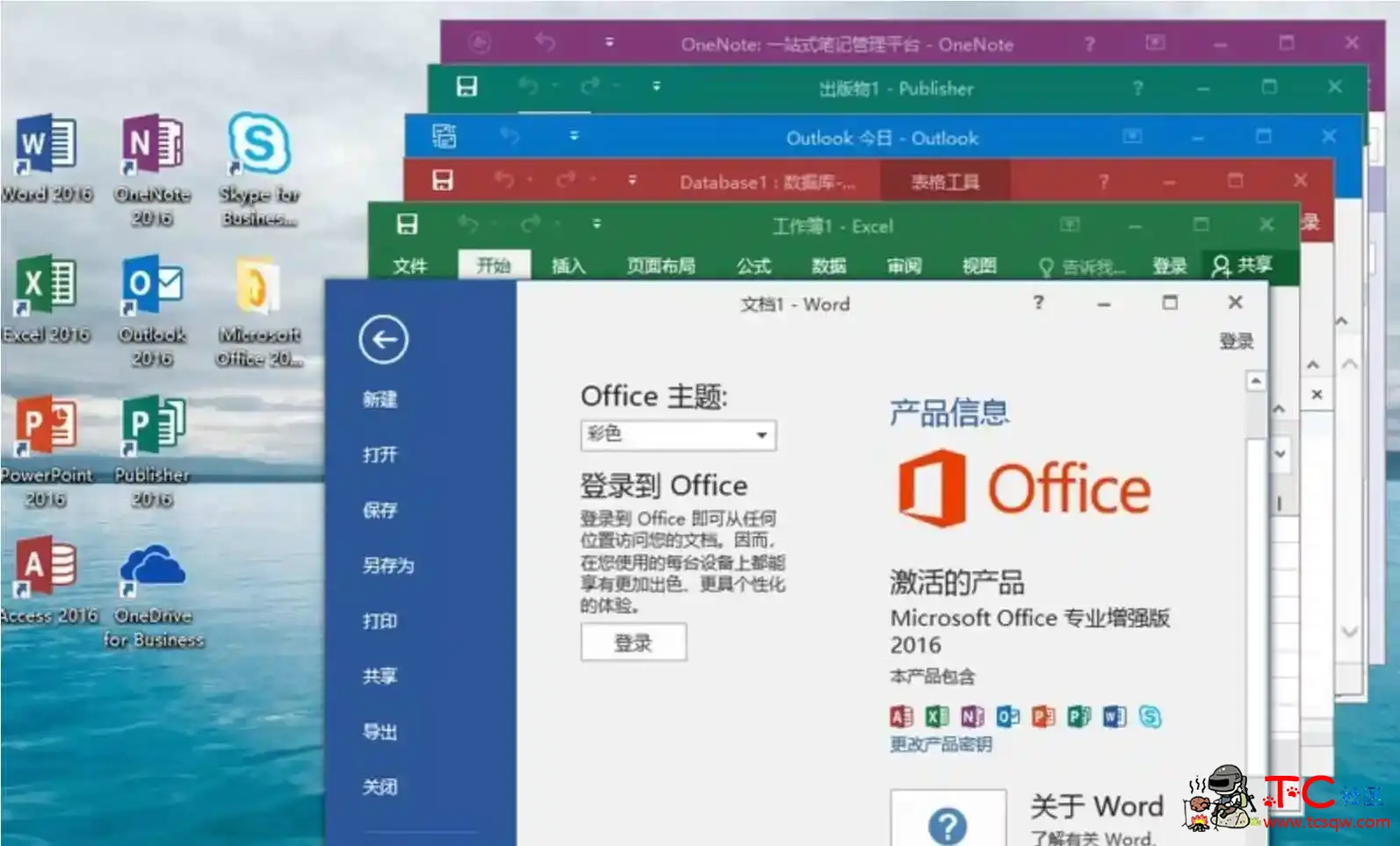 微软Office 2016 批量授权版商业版批量授权工具 TC辅助网www.tcsq1.com5595