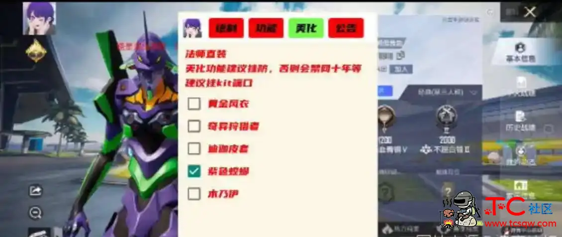 和平精英全职法师绘制自瞄无后多功能直装V2 TC辅助网www.tcsq1.com4563