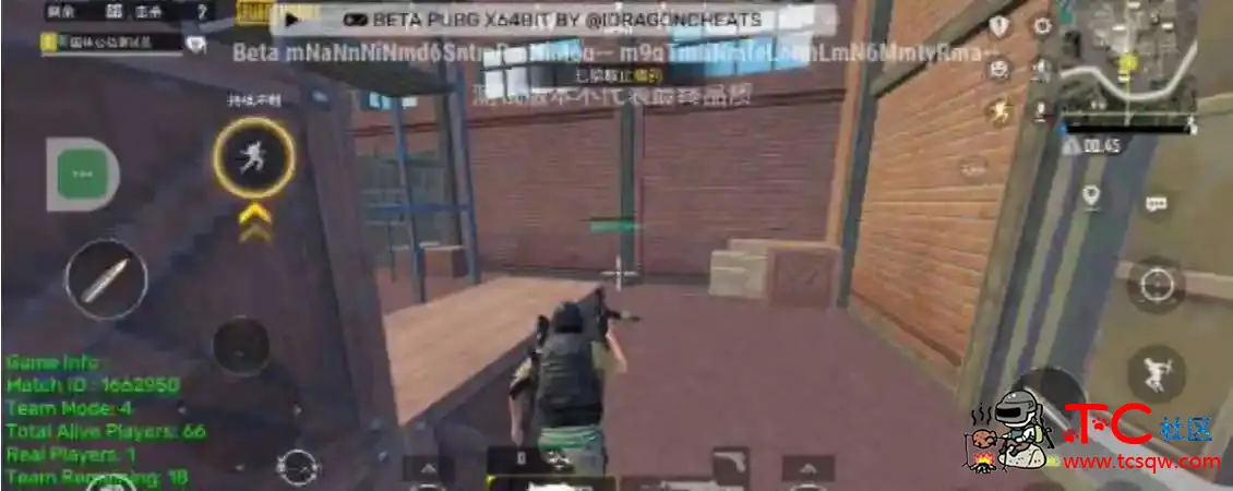 PUBG国体老外绘制自瞄子追多功能一体直装 TC辅助网www.tcsq1.com8359