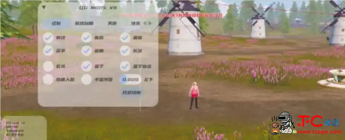 PUBG国际服红G绘制自瞄内存多功能容器直装v1.0 TC辅助网www.tcsq1.com1514