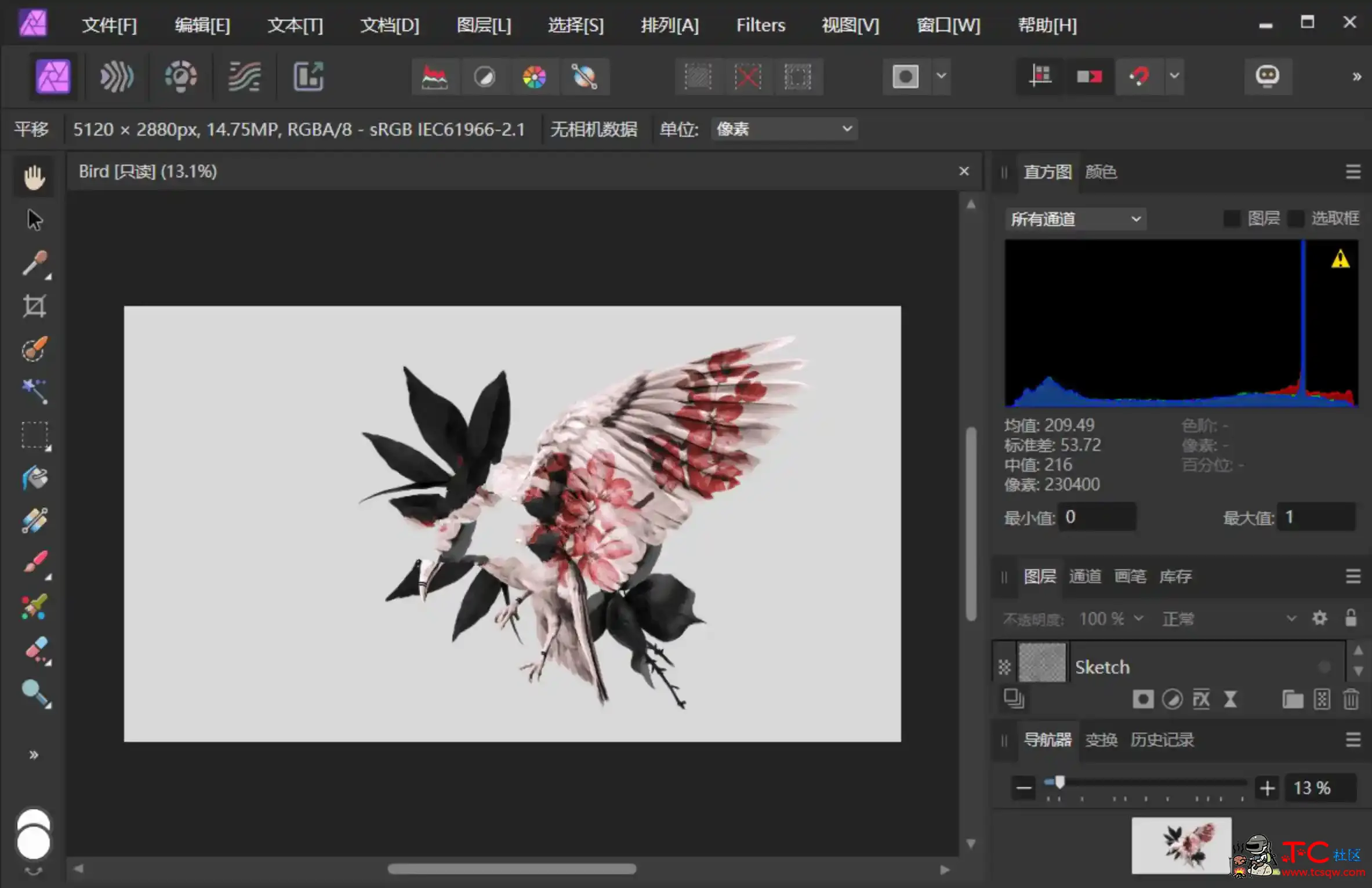 Affinity Photo v2.3.0.2165绿色版照片图片编辑软件 TC辅助网www.tcsq1.com3816