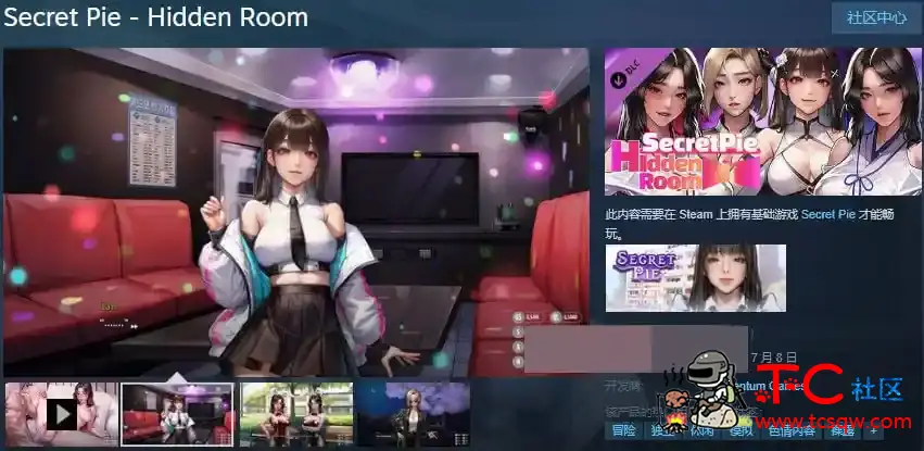 秘密派全DLC+官中无修+原声音乐PC TC辅助网www.tcsq1.com626