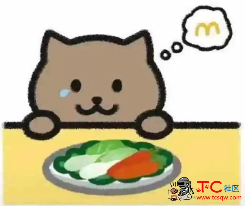 胖猫谭竹事件全过程 TC辅助网www.tcsq1.com4471