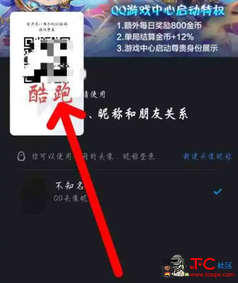 天天酷跑直装功能超多 TC辅助网www.tcsq1.com1077