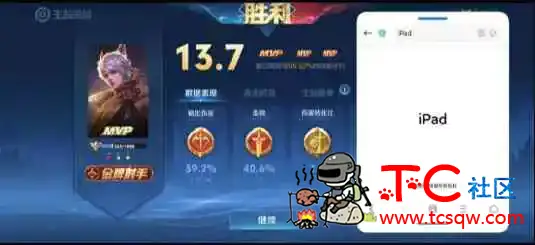 王者荣耀iPad公益端口(无视925) TC辅助网www.tcsq1.com8453