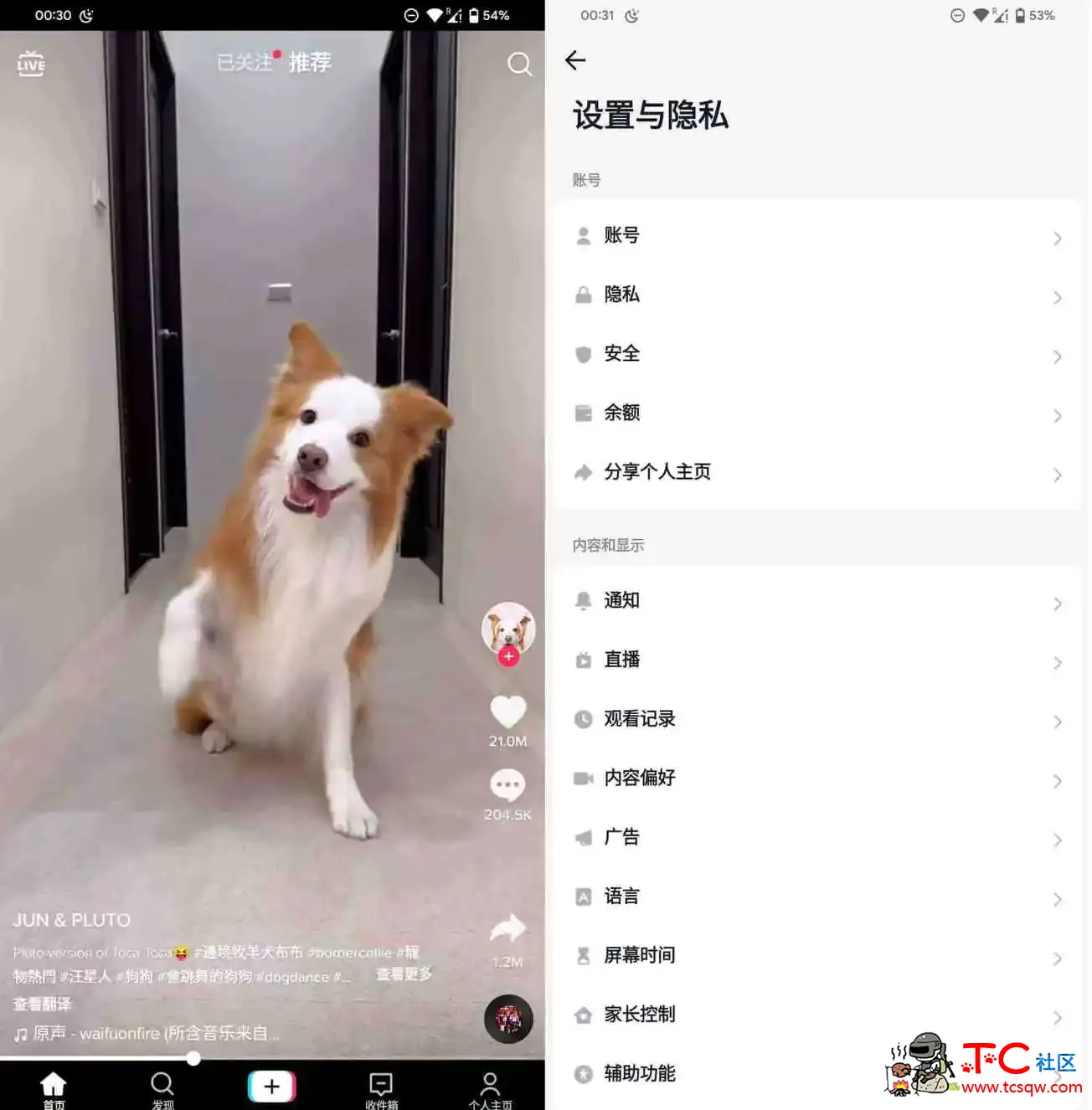 最新版TikTok 抖音国际版解锁版下载 v36.0.4 去广告 免拔卡 TC辅助网www.tcsq1.com2687