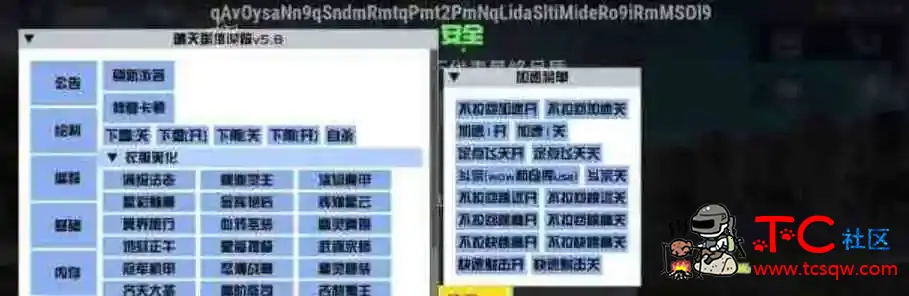 PUBG国体3.4.3晴天追踪V5.8 TC辅助网www.tcsq1.com3242