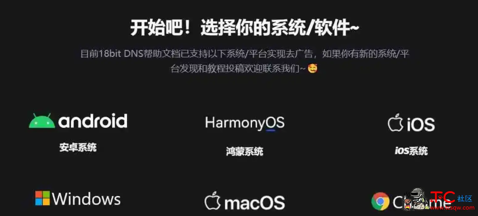 去广告DNS|全平台不用App软件去广告 TC辅助网www.tcsq1.com1745