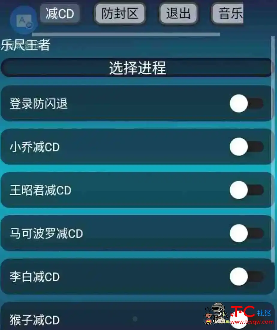 王者荣耀减CD1.0 TC辅助网www.tcsq1.com7307